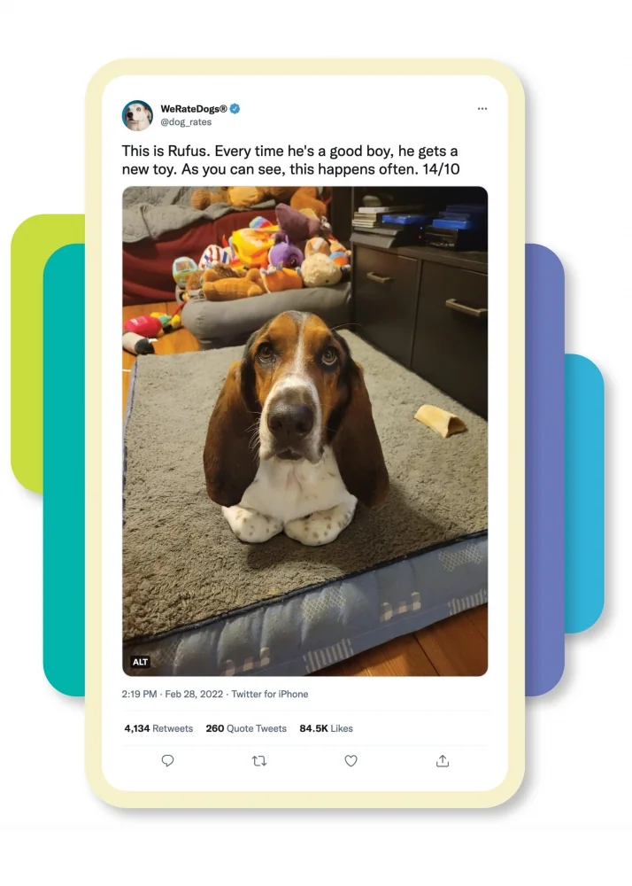 15/10 A Very Good Boy: How 'We Rate Dogs' Ruled the Internet and Raked in Milli…