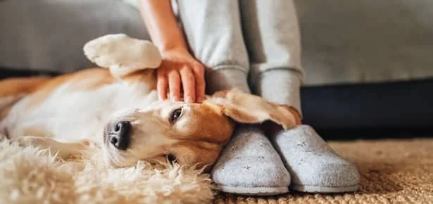 8 Science-Backed Ways to Boost Your Happy (And Your Dog's, Too)