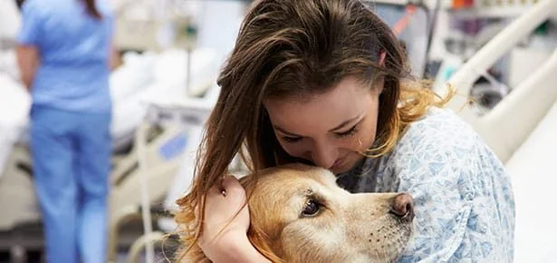 Is Your Dog Secretly a Natural-Born Therapy Star?