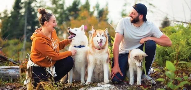 From Hospital Bed to Cross-Country Adventure: How Three Huskies Healed Her