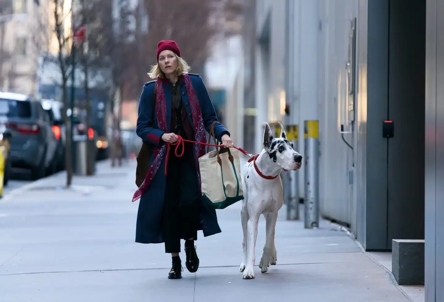 When a Friend's Last Gift Is a Dog: The Unexpected Companion Nobody Saw Coming