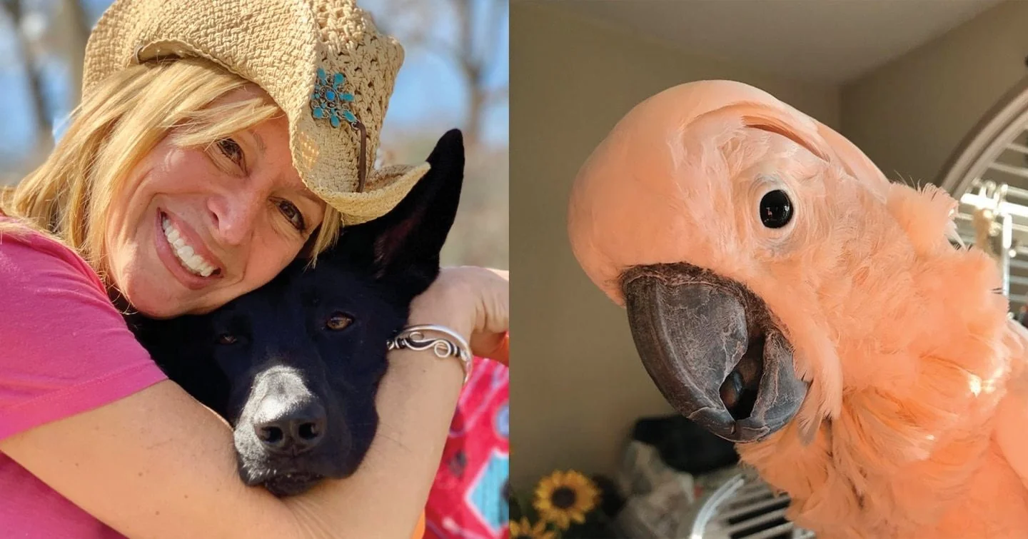 The 15-Acre Rescue Empire: One Woman's 20-Year Promise to 600 Forgotten Animals