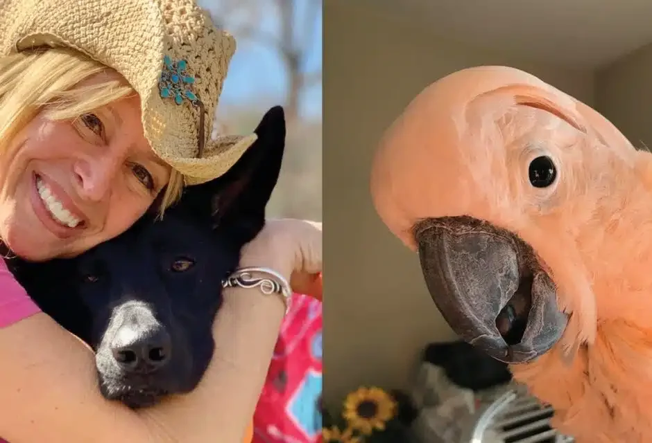 The 15-Acre Rescue Empire: One Woman's 20-Year Promise to 600 Forgotten Animals