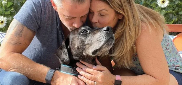 No Senior Dog Should Ever Spend Their Final Chapter Alone
