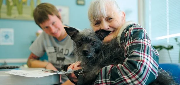 Two Million Pounds Later, One Nonprofit Won't Let a Single Pet Go Hungry