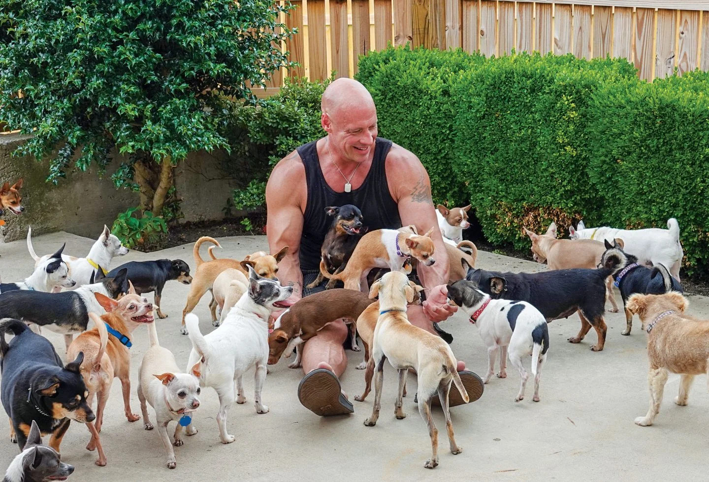 One Big-Hearted Guy, 99 Little Dogs