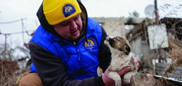 Saving Ukraine's Dogs of War: How One Man Is Feeding a Nation's Abandoned Pets,…