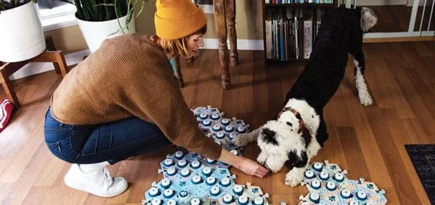 'Talking' Dog Bunny Keeps the Internet Hooked—and Questioning What Dogs Really…