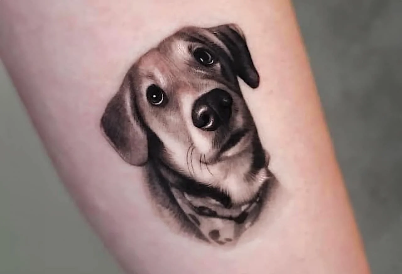 Fur-Ever Inked: The Cutest, Most Original Dog Tattoo Ideas…