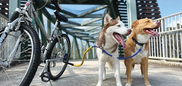Spring Into Action! The Best Ways to Get You and Your Pup Moving This Season