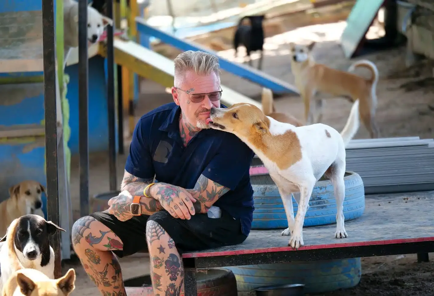 How One Ex-Chef Ended Up Living With 1,200 Dogs