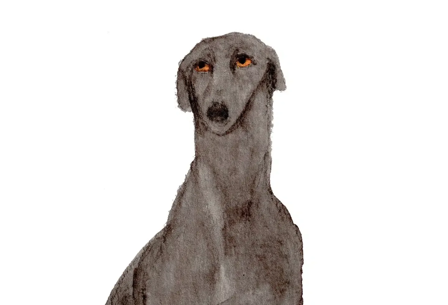 Too Big, Too Old, Too Damaged: The Viral-Era Artist Giving Unwanted Shelter Dog…
