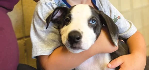 'They Instantly Loved Each Other': A Toddler and a Rescue Puppy, Twin Cleft Lip…