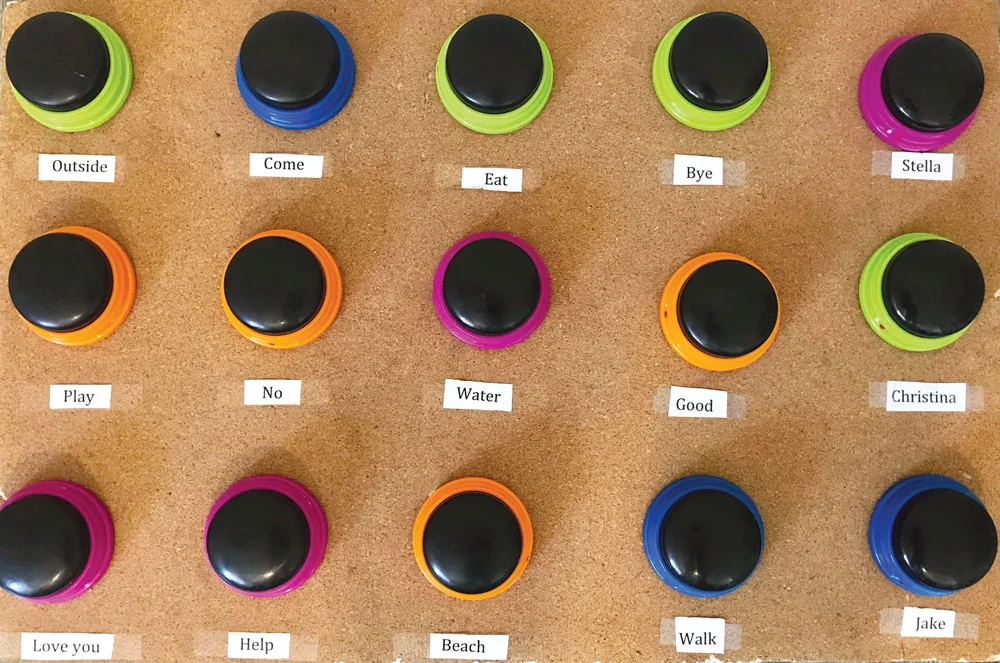 Press a Button, Say a Word: How a Speech Therapist Taught Her Dog to 'Talk' in…