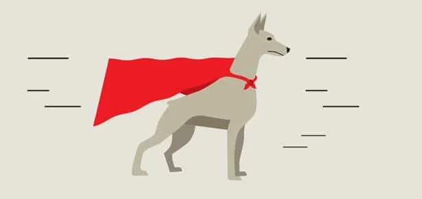 Science Says Dogs Really Do Want to Rescue You